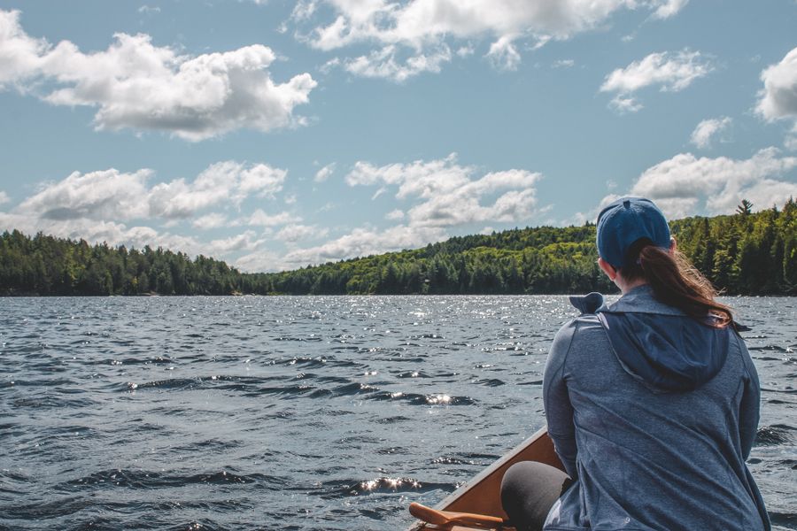 Optionele excursie: Kanotocht in Algonquin - Self guided